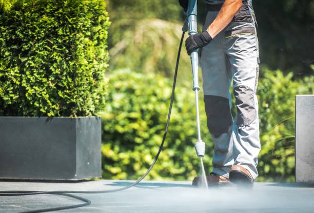 Best Soft Washing  in Palm Springs, FL