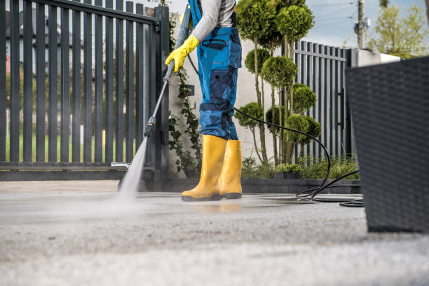 Best Animal Enclosure Cleaning  in Palm Springs, FL